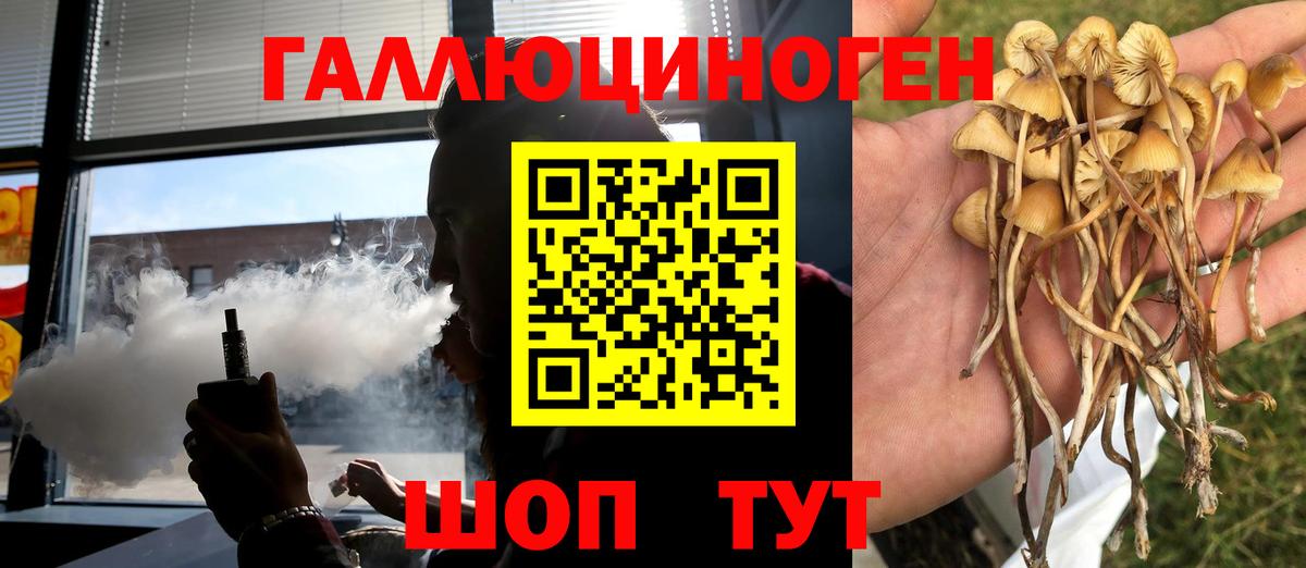 Псилоцибиновые грибы GOLDEN TEACHER Элиста