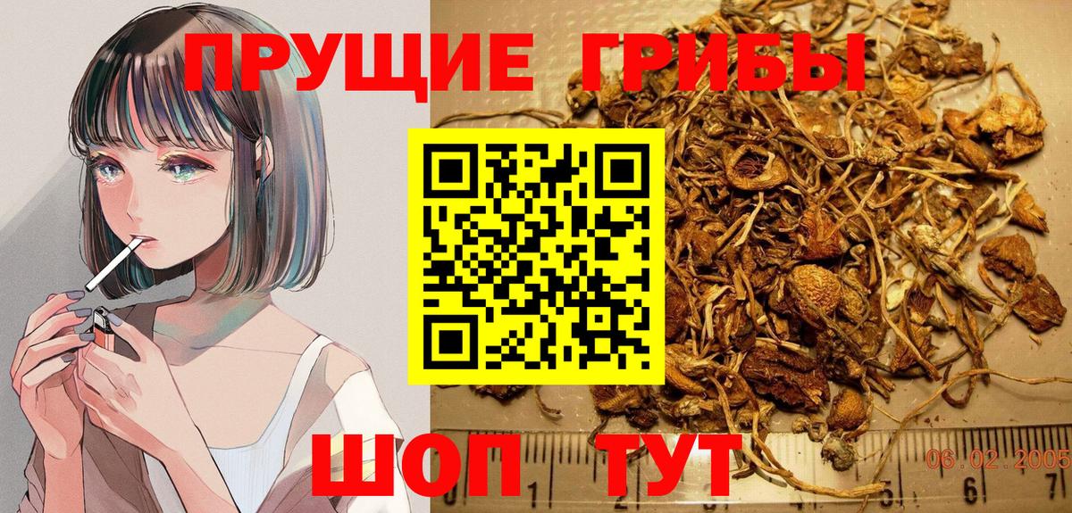 Элиста  Псилоцибиновые грибы ЛСД  Вход с VPN 